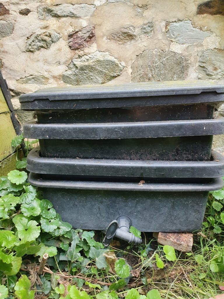 lombri compost